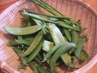 DSCF9019.JPG