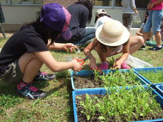 DSCF9056.JPG