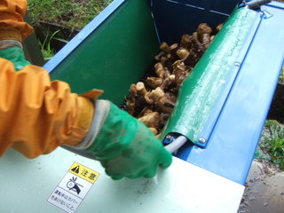 DSCF9065.JPG