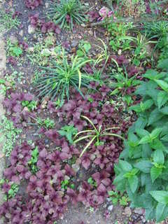 DSCF9067.JPG