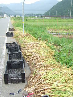 DSCF9100.JPG