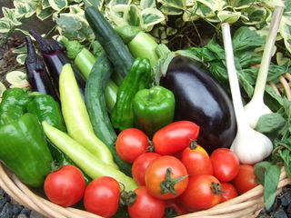 DSCF9290.JPG